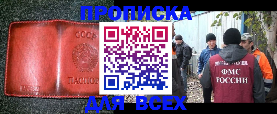 временная регистрация поиск в Полярном